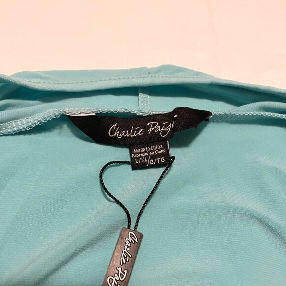 Charlie Page Sleeveless Lightweight Cardigan Vest Womens L/XL - Picture 4 of 11